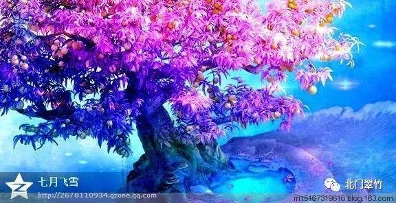 民族团结教育内容是什么？